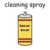 cleaning spray.jpg