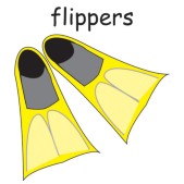 flippers.jpg