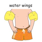 water wings.jpg
