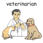 veterinarian.jpg