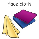 face cloth.jpg