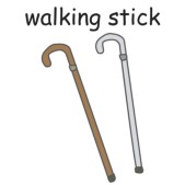 walking stick.jpg
