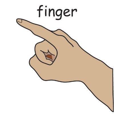 finger.jpg