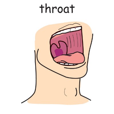 throat.jpg