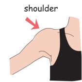 shoulder.jpg