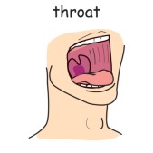 throat.jpg