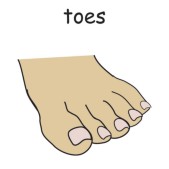 toes.jpg