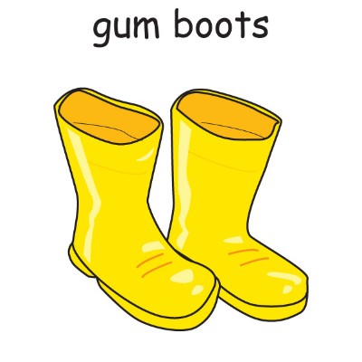 gum boots 1.jpg