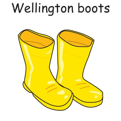 Wellington boots 1.jpg