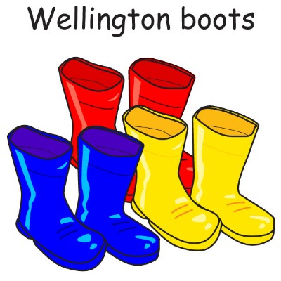 Wellington boots 2.jpg