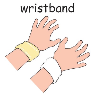 wristband.jpg