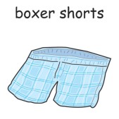 boxer shorts.jpg