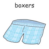 boxers.jpg