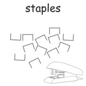 staples.jpg