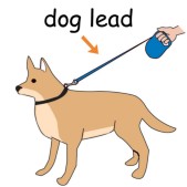 dog-lead.jpg