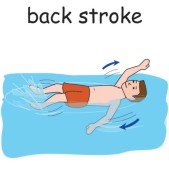 back stroke.jpg