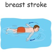 breast stroke.jpg