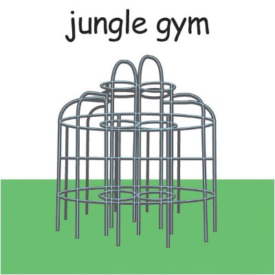 jungle gym.jpg
