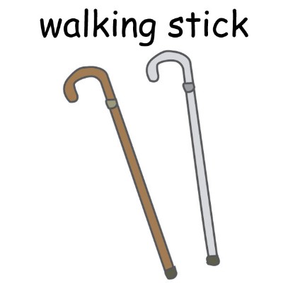 walking-stick.jpg