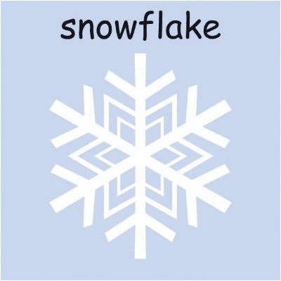 snowflake 2.jpg
