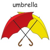 umbrella 2.jpg
