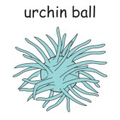 urchin ball.jpg