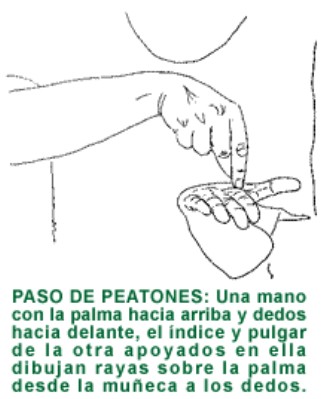 PASO DE PEATONES.gif