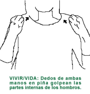 VIVIRVIDA.gif