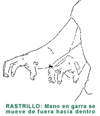 RASTRILLO.gif